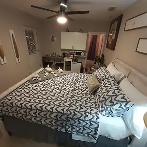 Luxurious Cozy Studio. , Tampa Estados Unidos